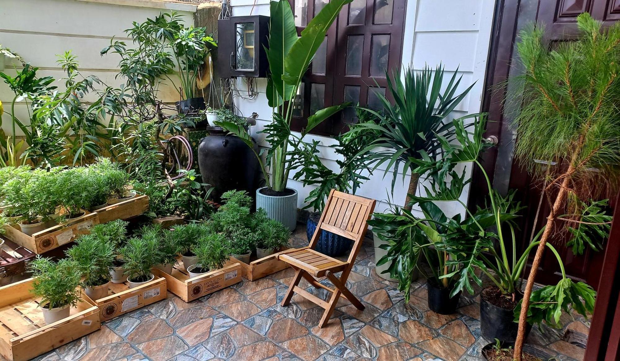 Wasabi House - Homestay Ben Cho 달랏 외부 사진