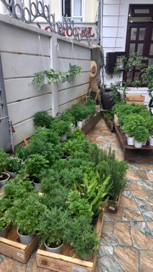 Wasabi House - Homestay Ben Cho 달랏 외부 사진