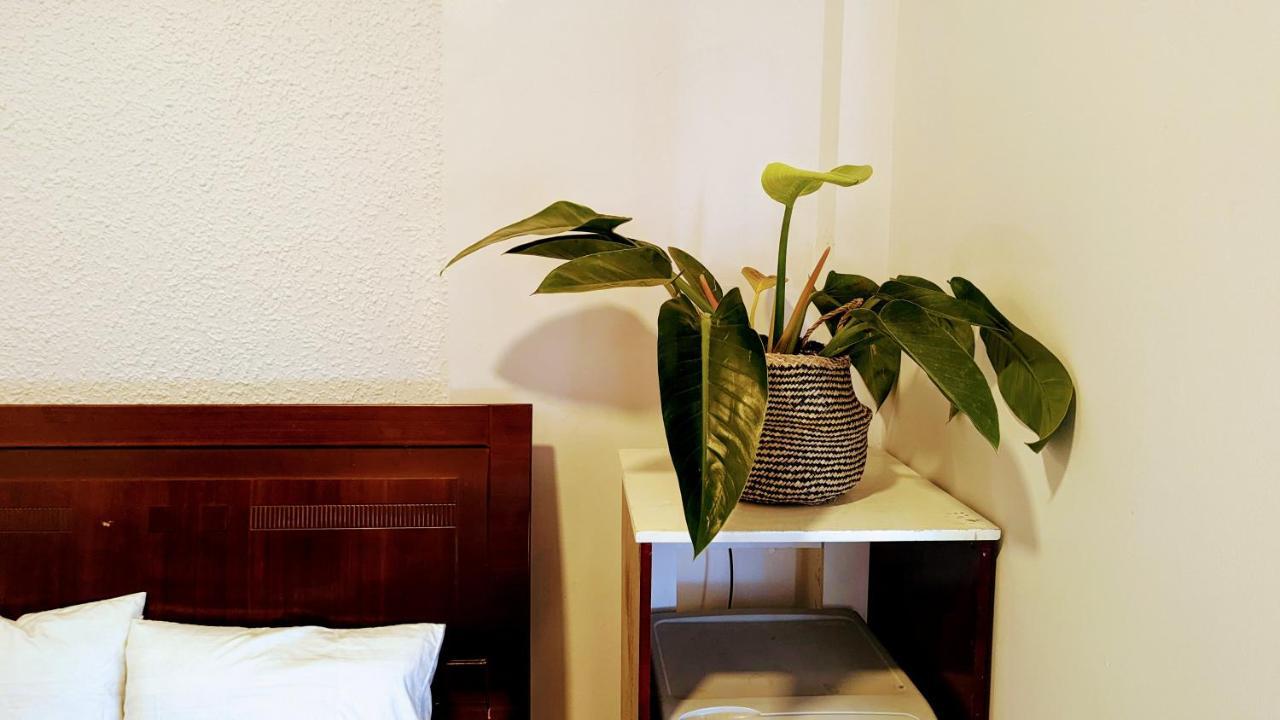 Wasabi House - Homestay Ben Cho 달랏 외부 사진