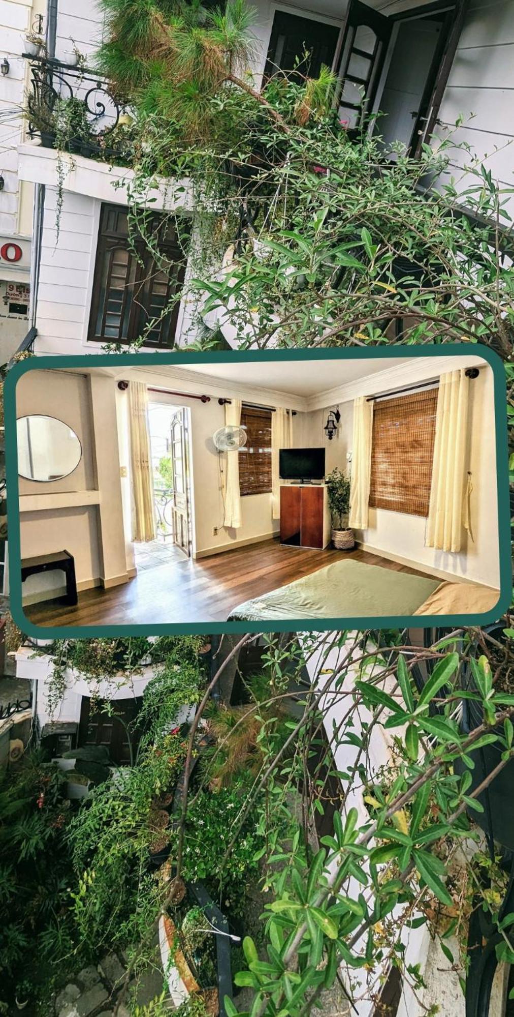 Wasabi House - Homestay Ben Cho 달랏 외부 사진