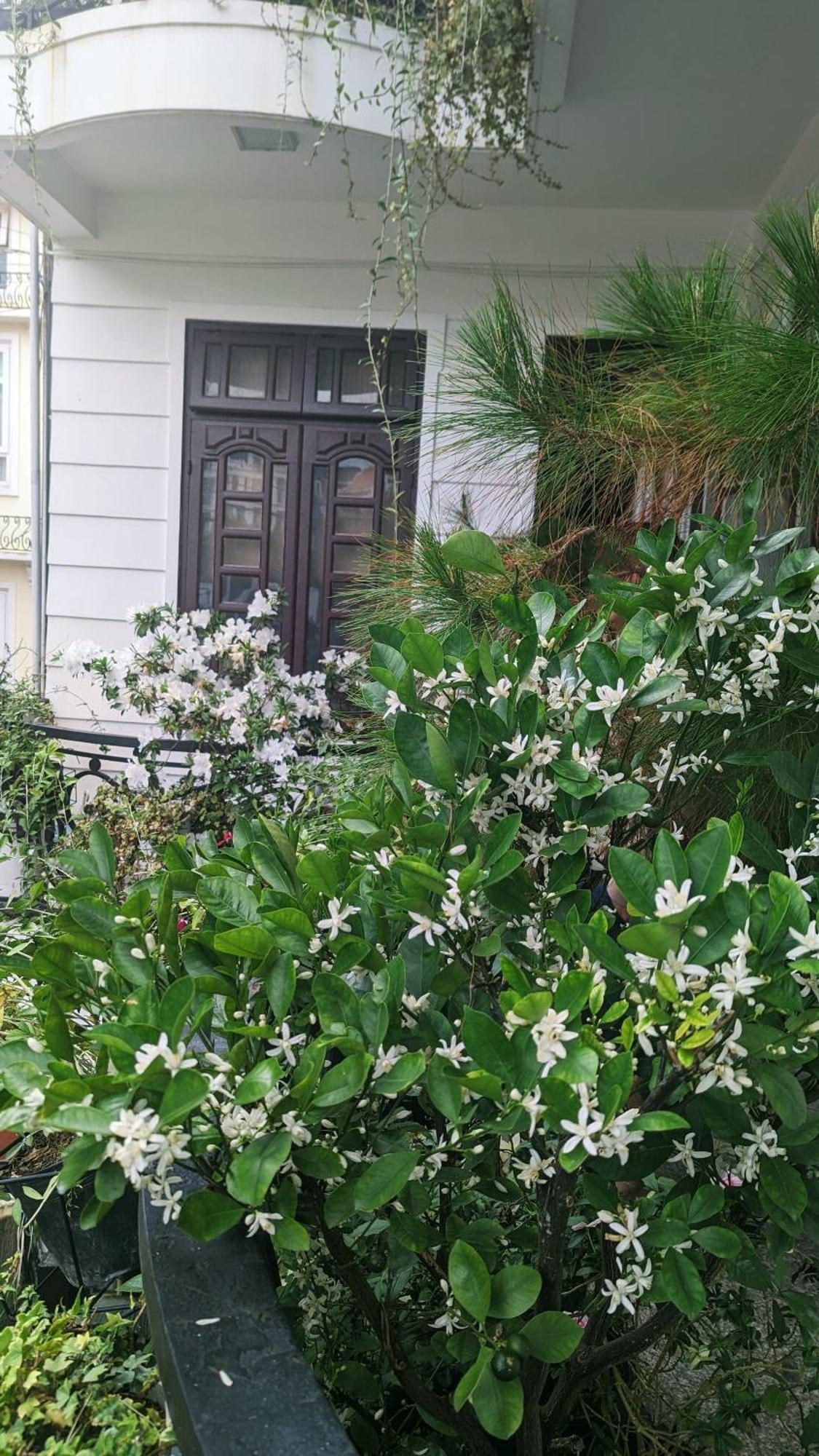 Wasabi House - Homestay Ben Cho 달랏 외부 사진